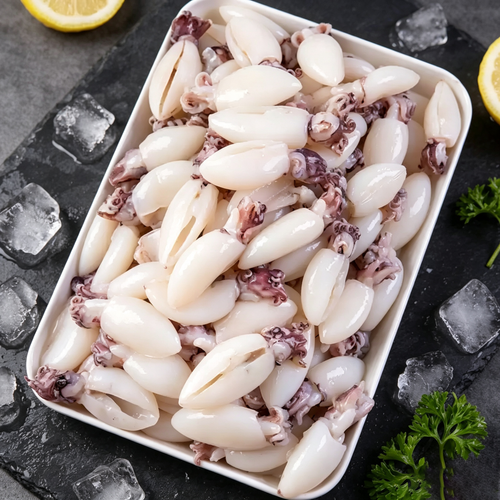 Baby Cuttlefish